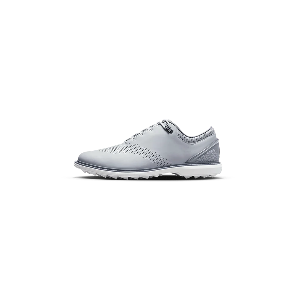 Nike Jordan ADG 4 Wolf Grey
