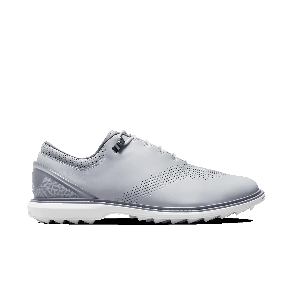 Nike Jordan ADG 4 Wolf Grey - Image 4