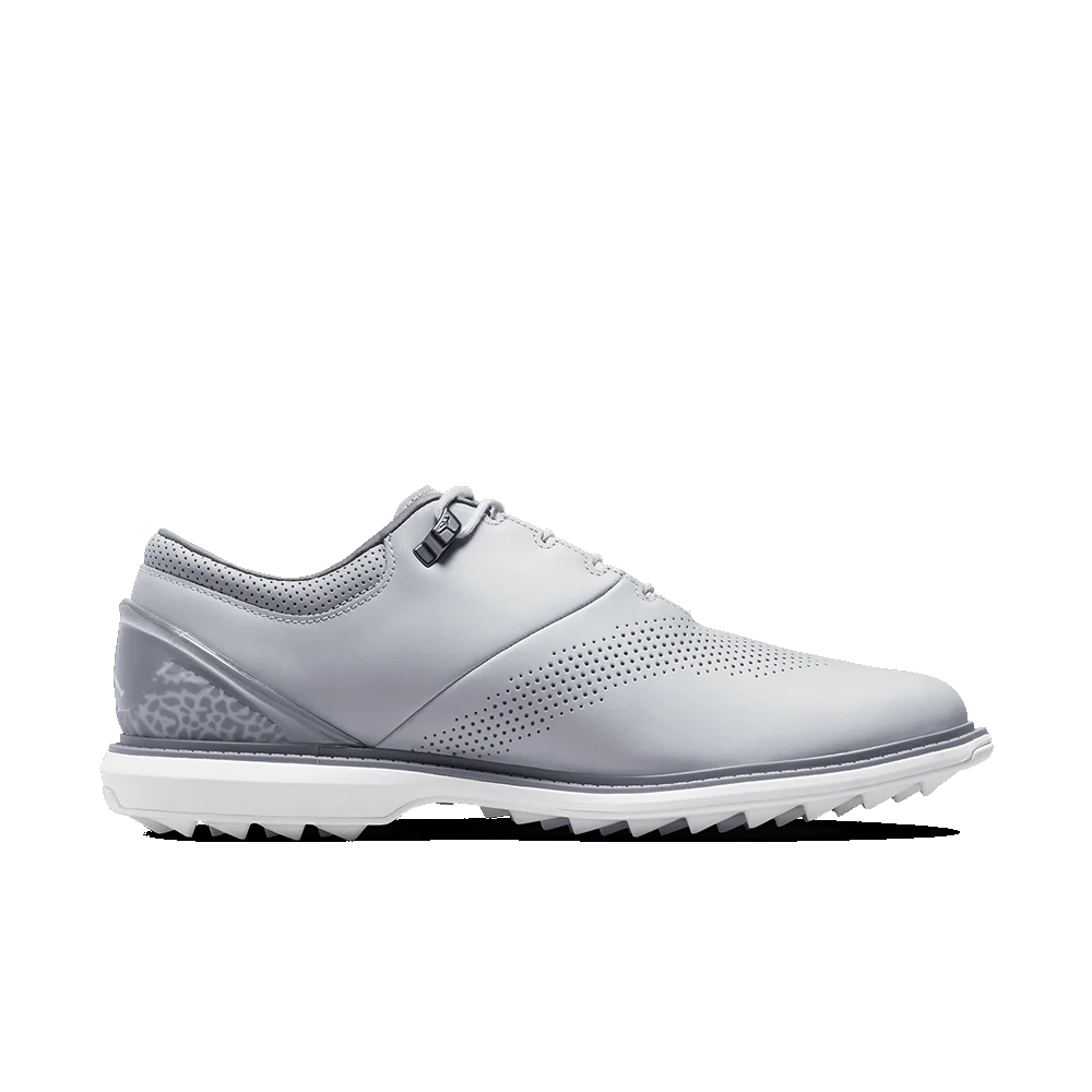 Nike Jordan ADG 4 Wolf Grey - Image 6